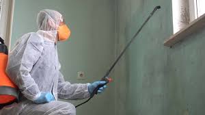 Best Forensic Mold Investigation  in Maryville, MO